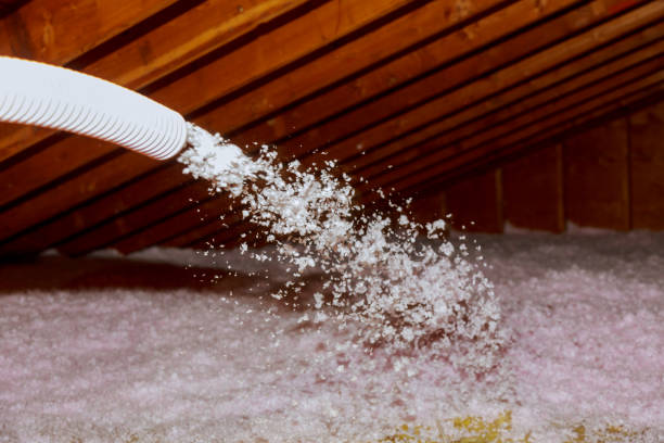 Best Cellulose Insulation  in Pacific, WA
